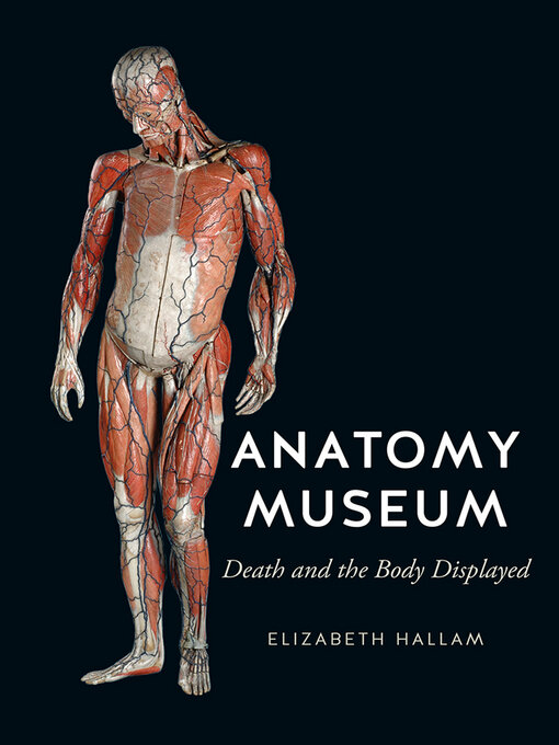Title details for Anatomy Museum by Elizabeth Hallam - Available